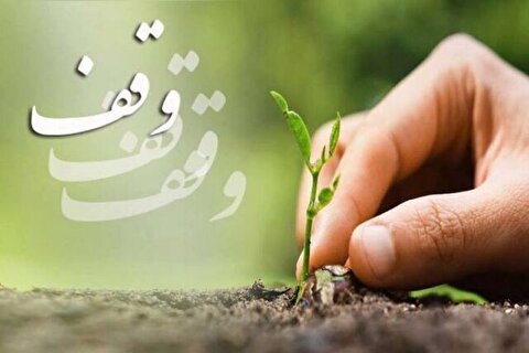 آغاز پویش وقف درخت برای توسعه عتبات در رفسنجان